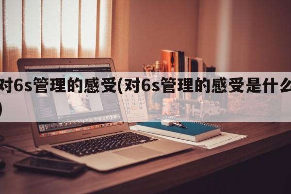 对6s管理的感受(对6s管理的感受是什么)